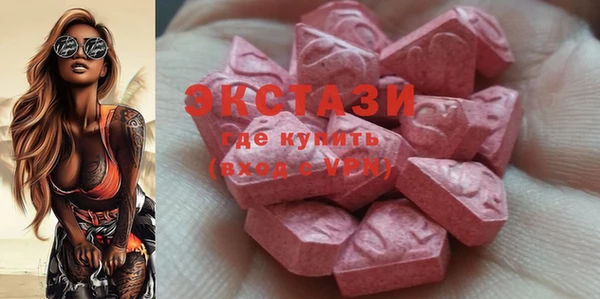 индика Алексин