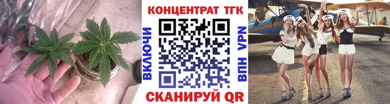 OMG   Мураши  ТГК THC oil  дарнет шоп 