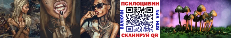 Псилоцибиновые грибы мицелий  дарк нет телеграм  Мураши 